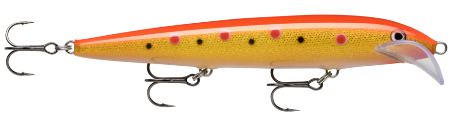SCATTER RAP HUSKY 13 Spotted Gold Fluorescent Red