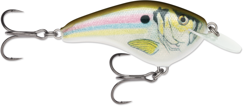 OTT'S Garage Slim 06 RSL