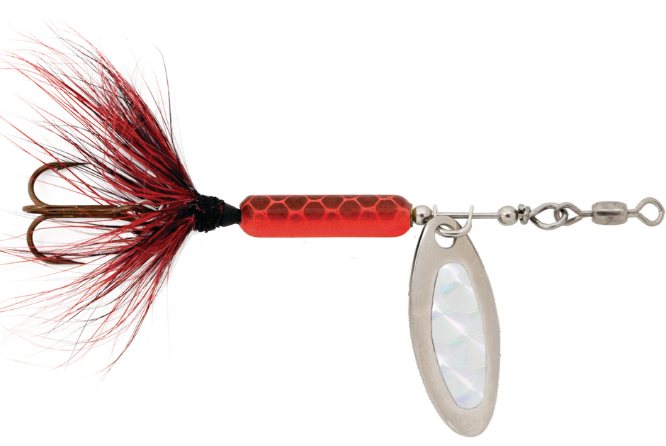 1/2 BANG-TAIL