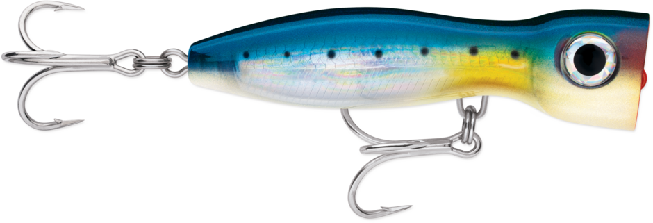 X-Rap Magnum Xplode 170 Blue Sardine