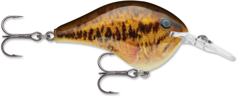 Dives-To 08 Live Smallmouth Bass