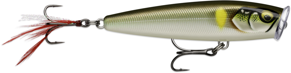 Skitter Pop Elite SPE95 GDAY