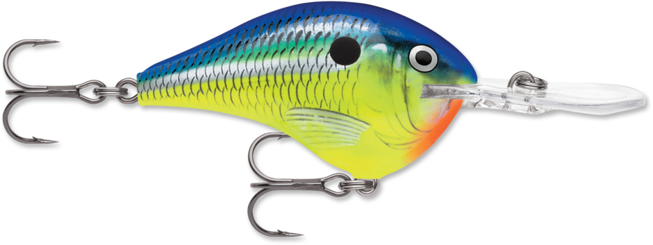 Rapala Dives-To 150ml Fishing Lures | Boating & Fishing | 30 Day Money Back Guarantee | Best Price Guarantee | Delivery Guaranteed