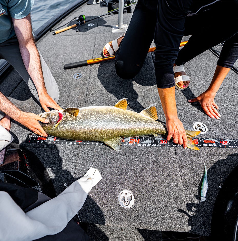 60" Retractable Ruler