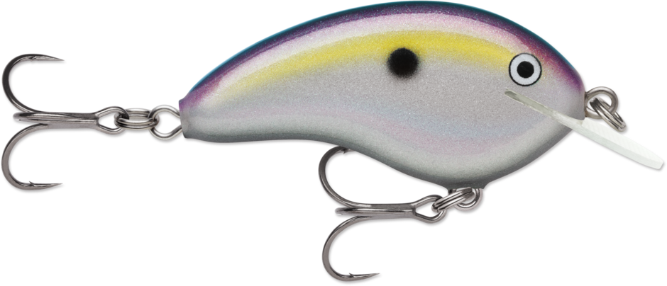Bait vs Lures - Product Guide