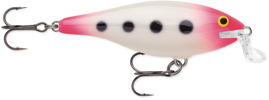 Esca galleggiante Rapala shallow shad rap 7g Esca galleggiante Rapala shallow shad rap 7g