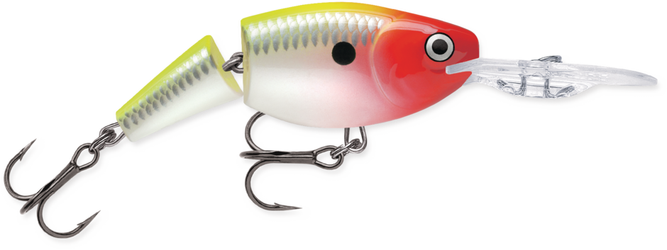 Jointed Shad Rap® | Rapala