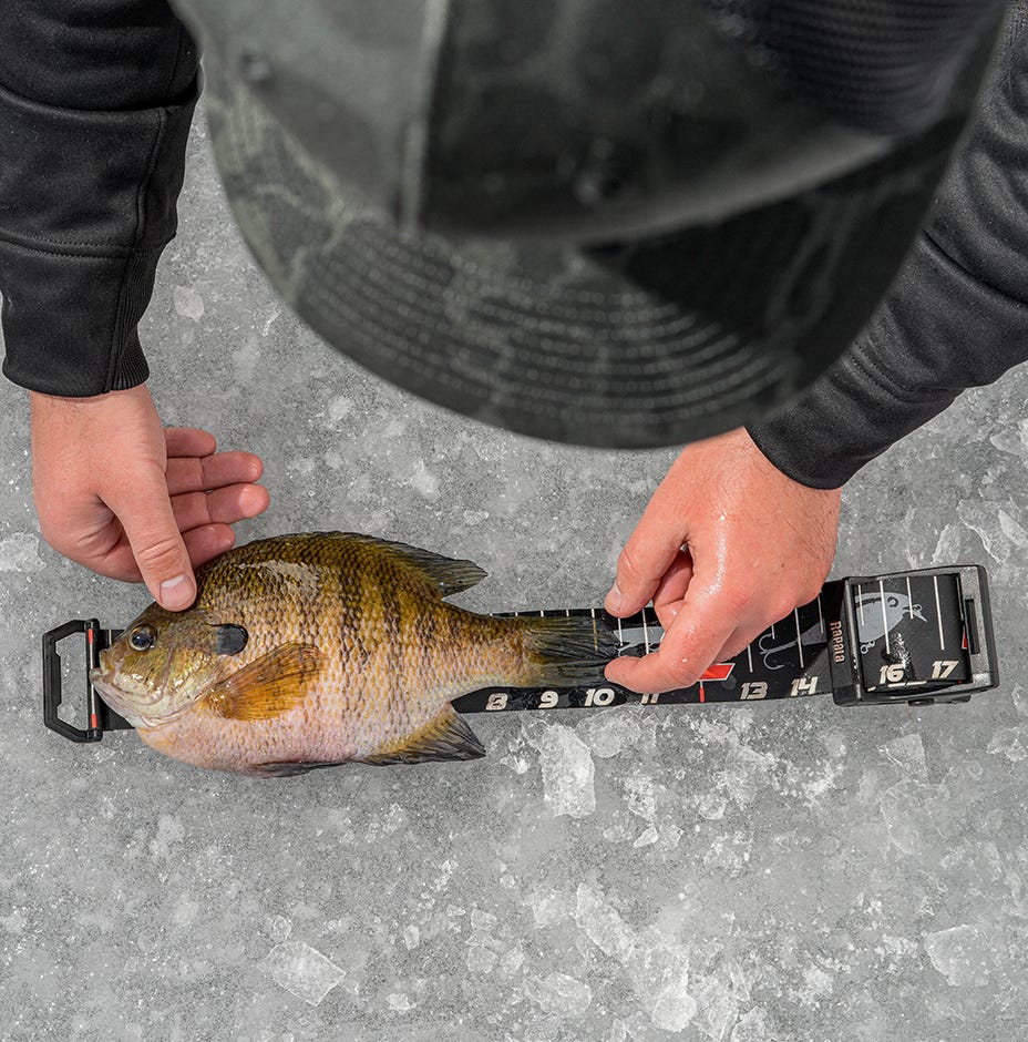 60" Retractable Ruler