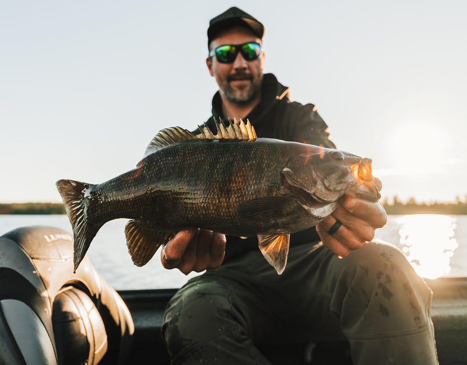 What Colours Of Soft Plastics Do You Need for Bass?