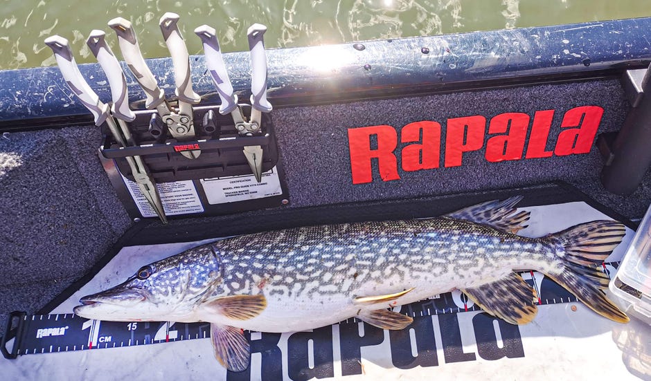 Hauenkalastus on helpompaa ja hauskempaa oikeanlaisilla työvälineillä