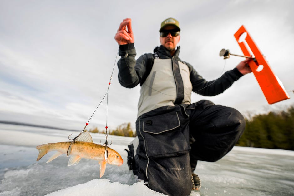 Predator Rigs Have Arrived