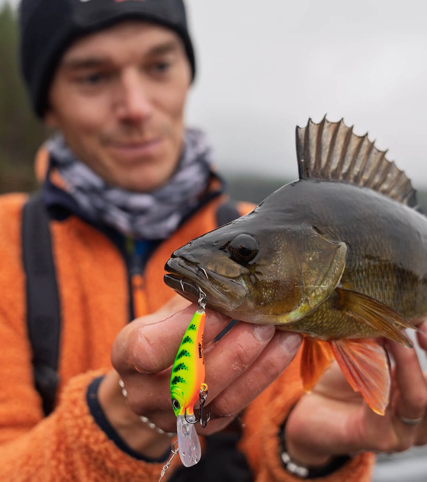 Introducing the New Rapala® Harvest Shad™