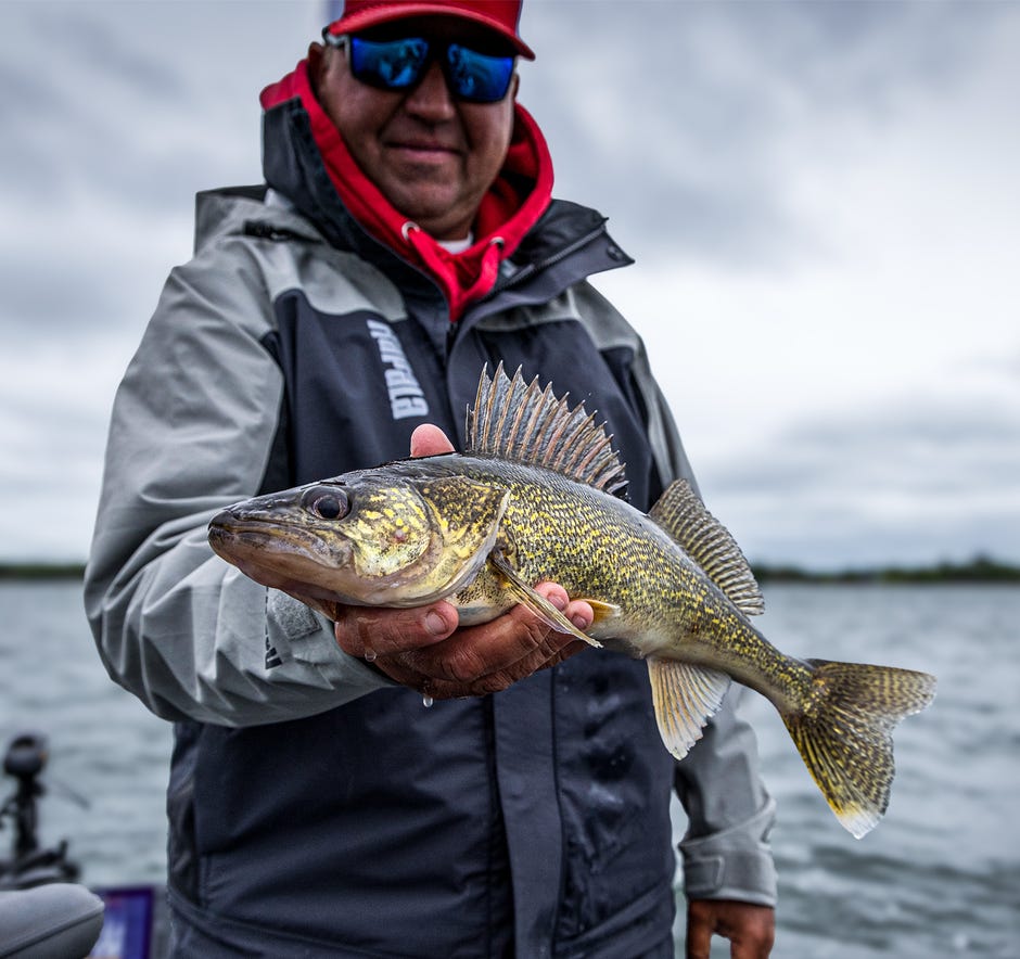  Rapala Shad Rap: One of the Most Successful Lures of All Time, Now in Four New Colours