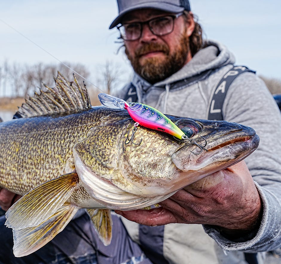 The New Rapala Harvest Shad: Make Dinner Plans with Walter Tonight