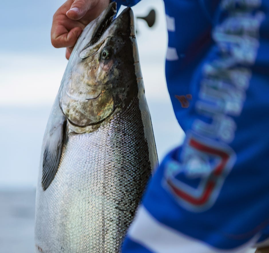 New Luhr-Jensen Spinners and Spoons Deliver Unparalleled Flash and Action