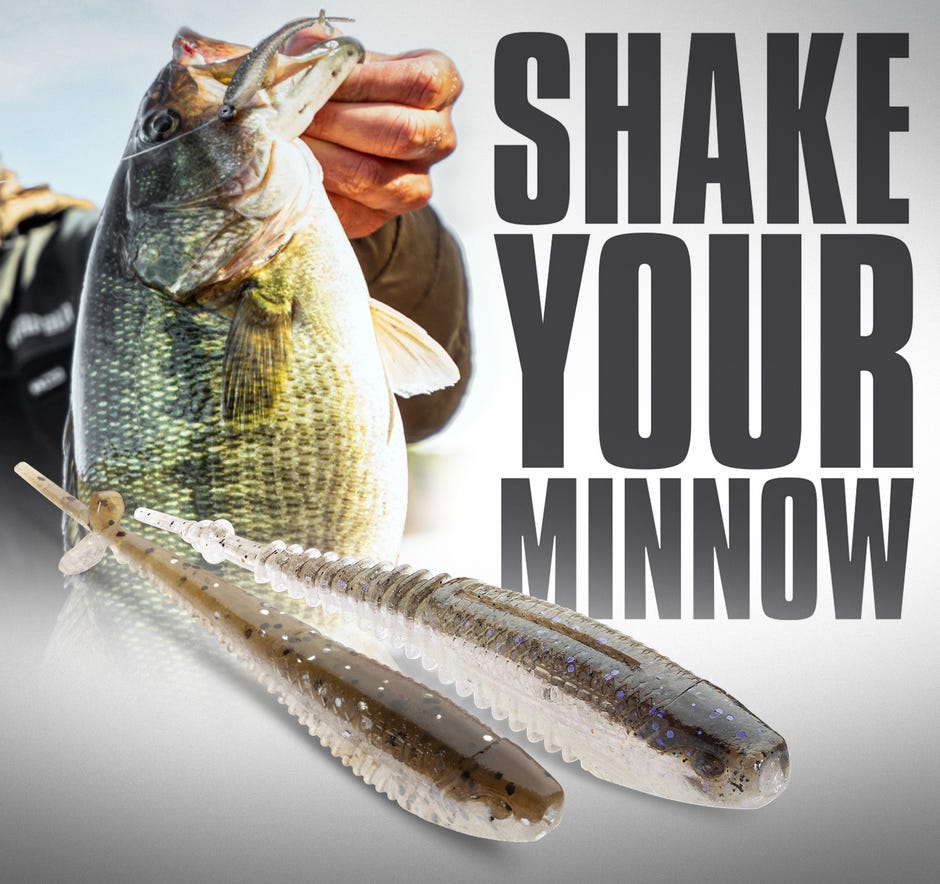  Shake Your Minnow