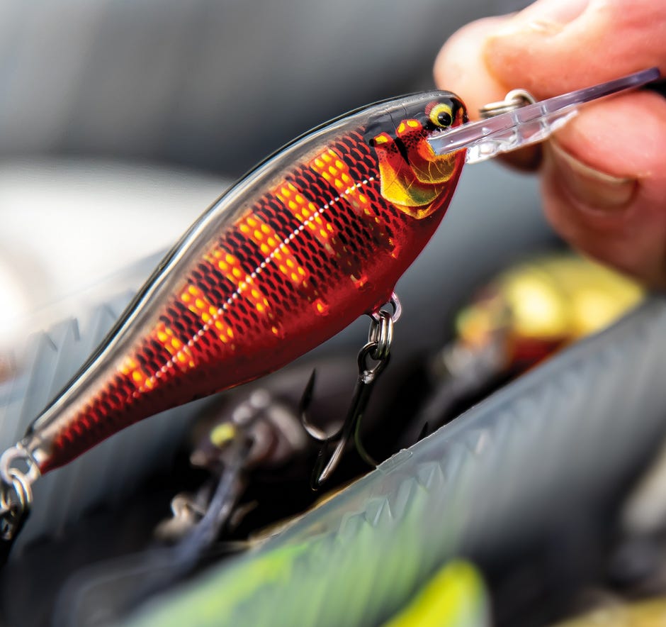 Turn Up the Power with the New Super Premium Shad Rap® Elite