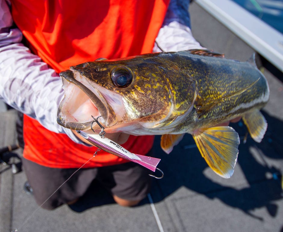 Al And Troy Lindner Tackle Canada’s Donkey-Size Walleye With The Rapala® Jigging Shadow Rap®